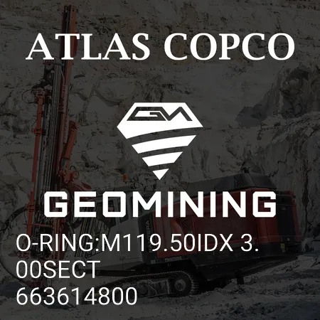 663614800 УПЛОТНИТЕЛЬНОЕ КОЛЬЦО:M119.50IDX 3.00SECT Atlas Copco / Epiroc