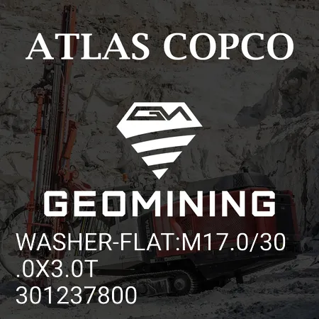301237800 ШАЙБА-ПЛОСКАЯ:M17.0/30.0X3.0T Atlas Copco / Epiroc