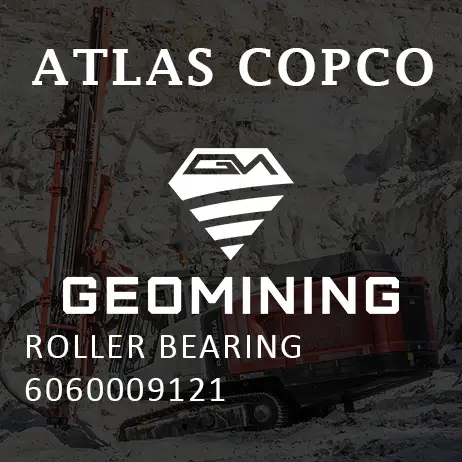 6060009121 РОЛИКОВЫЙ ПОДШИПНИК Atlas Copco / Epiroc